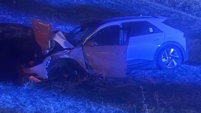 Muş'ta otomobilin çarptığı inek telef oldu