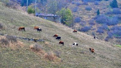 Saveriksa Yaylası’nda sonbaharın büyüleyici manzaraları