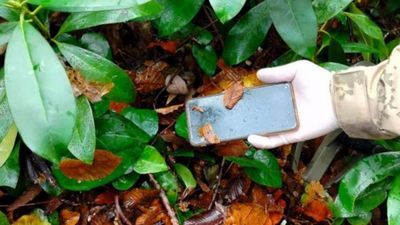 Kastamonu'da dere yatağında ölü bulunan annenin cep telefonu da bulundu