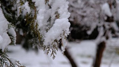 Yozgat'ta mevsimin ilk karı düştü