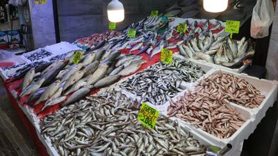 Samsun'da soğuyan havayla, balık tezgahları da hamsi ile doldu