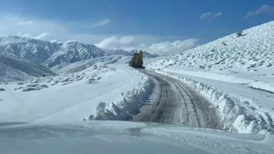 Muş'ta yoğun kar yağışı etkili oldu