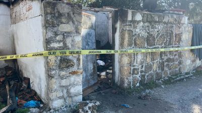 İzmir'de yangında 30 kedisiyle öldü: Çörekçi'nin arkadaşları konuştu