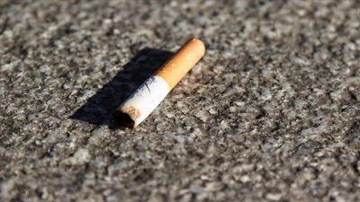 Almanya'da çevre kirliliğiyle mücadelede rekor cezalar: İzmarite 3 bin euro, moloza 100 bin euro