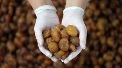 Bursa kestane şekeri ve İpsala pirinci AB'den coğrafi işaret tescili aldı