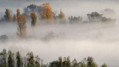 Türkiye'nin saklı cenneti: UNESCO burayı gözü gibi koruyor...