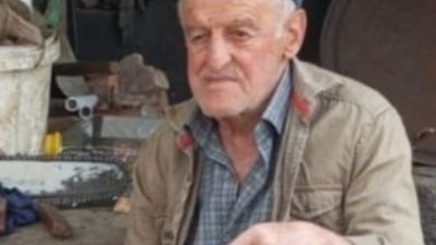 Bolu'da mantar toplamaya gitti, öldü