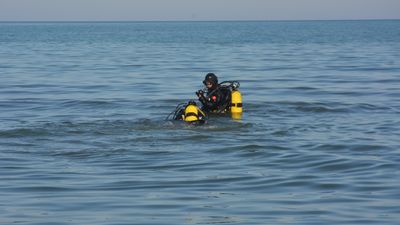 Ordu'da kayıp olarak aranan kadının cansız beden bulundu