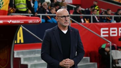 İspanya Teknik Direktörü Fuente'nin hakeme yönelik hareketi dikkat çekti