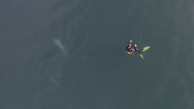 Sapanca Gölü'nde endişe yaratan kabarcıklar görüntülendi: Uzmanından ‘deprem’ açıklaması