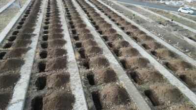 Erzurum'da dondurucu soğuklar öncesi '500 kışlık mezar' kazıldı