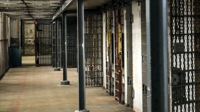 İsrail hapishanesindeki Filistinli esir: Polis köpeklerinin tecavüzüne uğradım