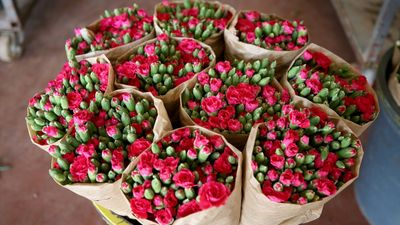 Türkiye'nin çiçek ihracatındaki çeşitliliği arttı