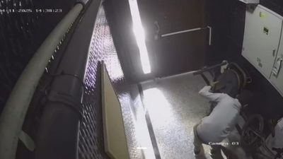 İstanbul'da elektrikli skuter hırsızlığı kamerada