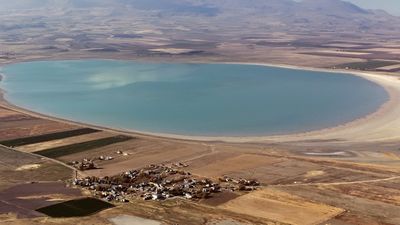 Bitlis'in kuş cenneti Arin Gölü, gün geçtikçe alan kaybediyor