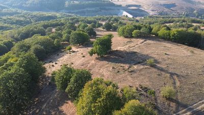 Bilecik’te rüzgar santrali çalışmalarında tarihi siper hattı ortaya çıktı
