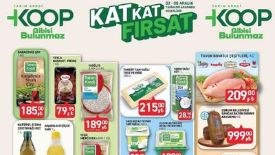 KOOP Market'te 2-8 Aralık: Bereketli indirimler başladı! Peynir, süt, şarküteri, tavuk...