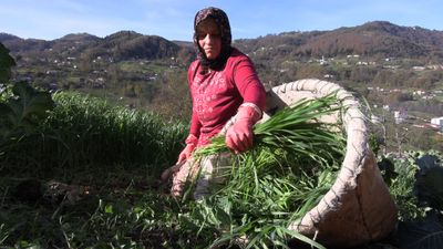 Trabzon'da kadınlar sabah ot biçiyor, akşam maça gidiyor