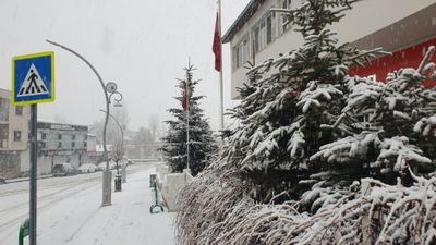 Van'da kar yağışı etkisini gösterdi: İlçe merkezi beyaza büründü