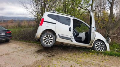 Bursa'da hafif ticari araç ağaca çarptı: 4 yaralı