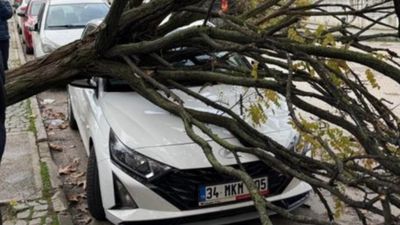 Bursa’da park halindeki araçların üzerine ağaç devrildi