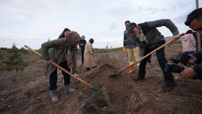 Ankara'da TUSAŞ şehitleri için binlerce fidan dikildi