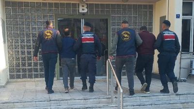 Aydın'da bahçeden çalınan 400 kilo zeytin, fabrikada bulundu