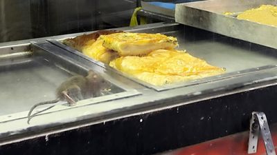 İzmir'de mide bulandıran görüntü: Börek tezgahında fare