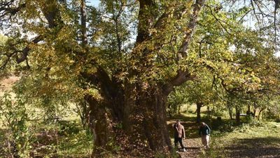 Türkiye’nin doğal mirası güvence altında