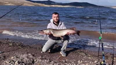 Çaygören Barajı’nda dev turna sürprizi