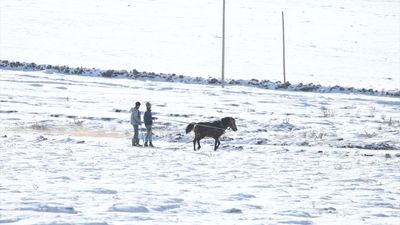Kars ve Ardahan'da soğuk hava etkisini sürdürüyor