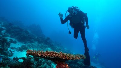 Engelleri mavi derinliklerde aştı: Özgür Akçı Kızıldeniz’e daldı