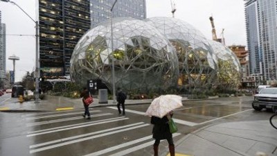 Amerika'da 'yağmur ormanları' temalı ofis