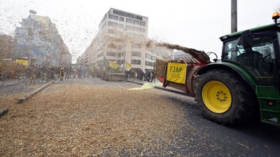 Belçikalı çiftçilerden AB kurumları önünde samanlı, tezekli eylem
