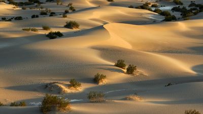 ABD'nin Ölüm Vadisi’nde sıcaklıklar 46 dereceyi aştı
