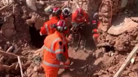Fas'ta 10 gün sonra gelen mucize: Eşek enkaz altından sağ kurtarıldı