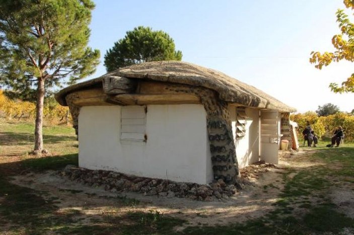 Kaplumbağa görünümlü ev ve yapılış nedeni şaşırttı