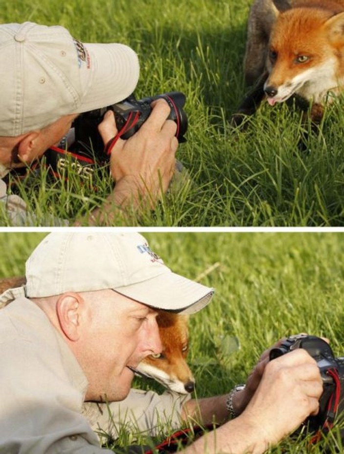 Fotoğrafçılığa merak salan hayvanlar