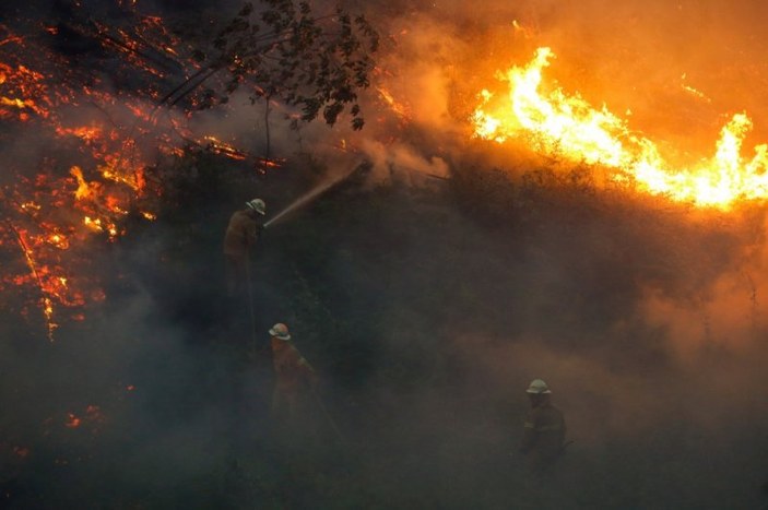 Portekiz'de orman yangını