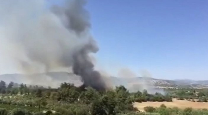 Manavgat'taki yangın, yerleşim yerlerine sıçradı