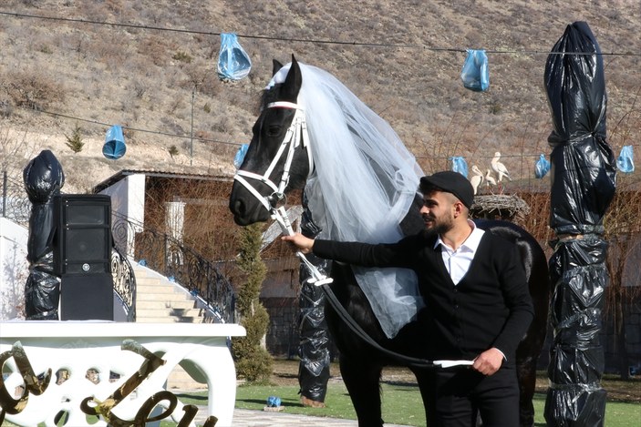 Kayseri'de çiftliğin yeni üyesi atlara düğün yaptılar