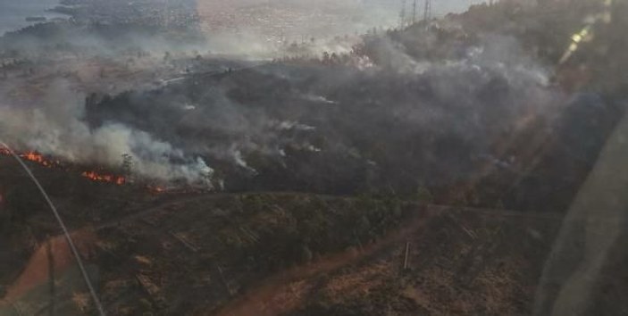 İzmir'de ağaçlandırılan erozyon sahasında yangın
