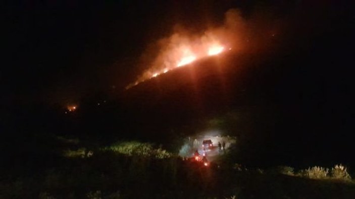 Aydın’da makilik alandaki yangın kontrol altına alındı