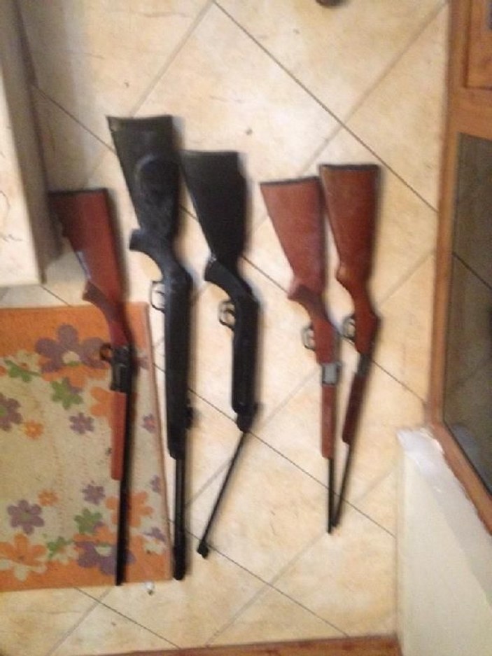 Silivri'de çiftlik evinde çocuklara silahla atış yaptıran şüpheli yakalandı -2