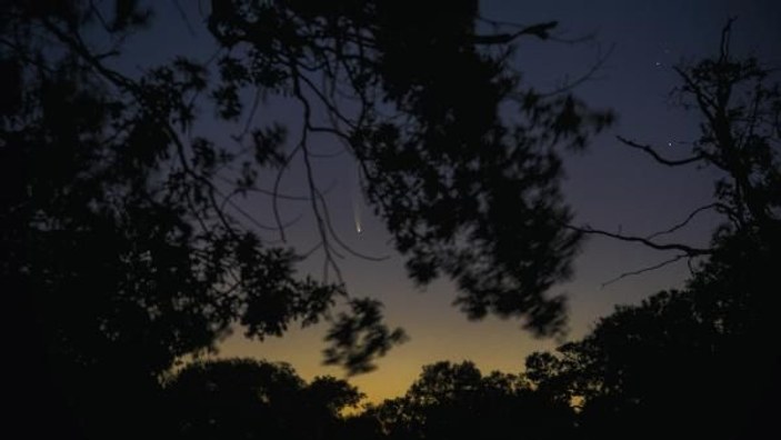 Neowise kuyruklu yıldızını, longoz ormanlarından fotoğrafladı -5