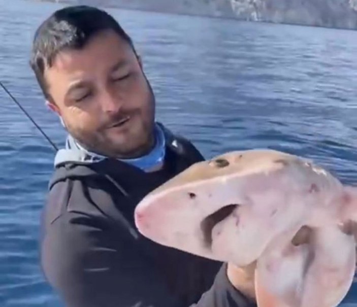 Balıkçıların oltasına 1,5 metrelik köpek balığı takıldı -1