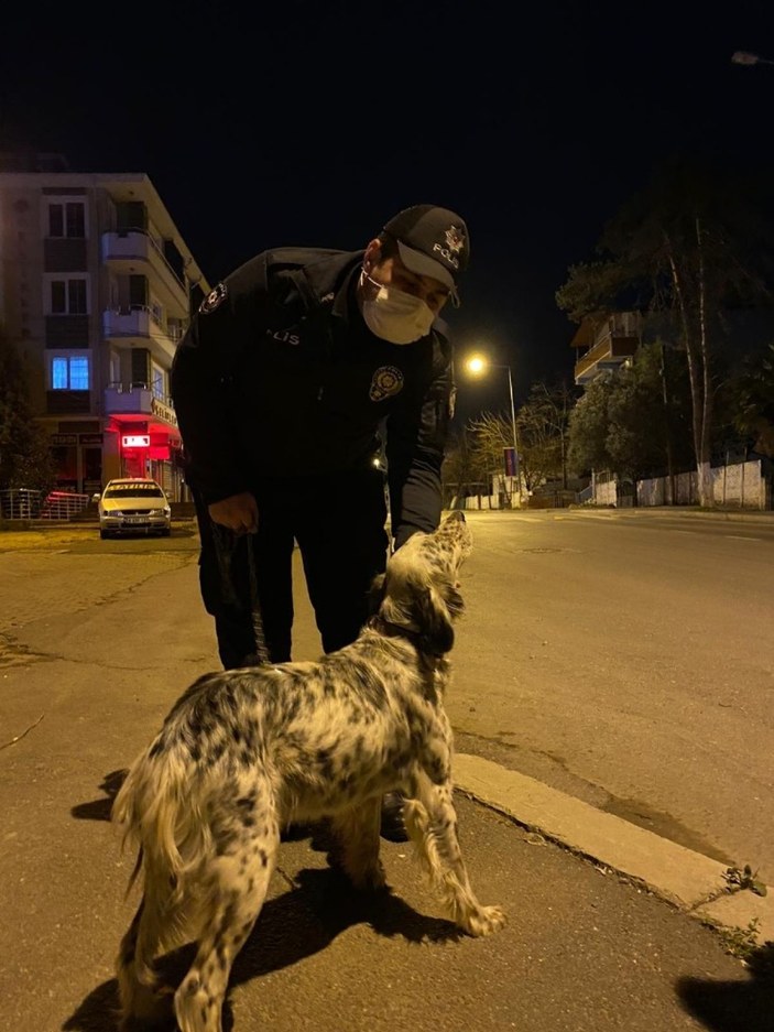 Sakarya'da polis, kaçan köpeği sahibine teslim etti
