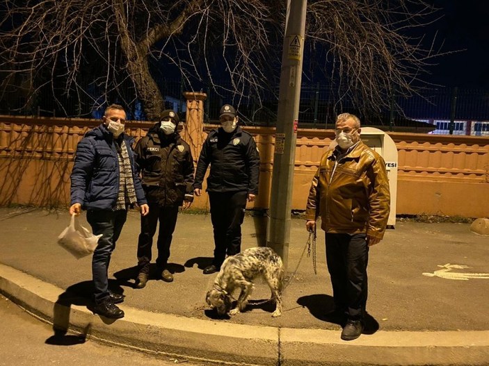 Sakarya'da polis, kaçan köpeği sahibine teslim etti