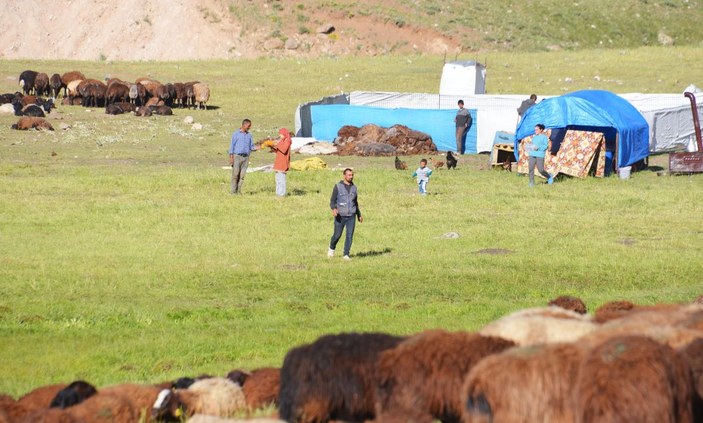 7 bin lira maaşla yerli çoban bulamıyorlar -5