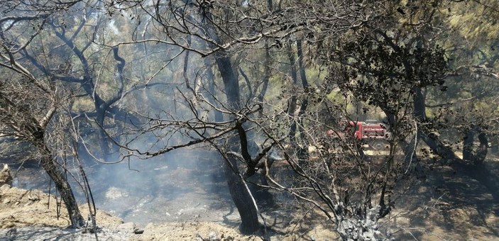 Datça'da çıkan orman yangınında 1 hektarlık alan zarar gördü -1